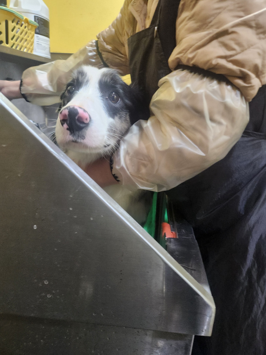 abd5a6da1eb9711ac21976efc26270da_1771821982_5142.jpg