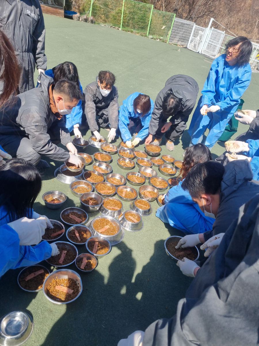 ffbeb0225984babd6e58f4c42931d6a6_1774061241_0532.jpg