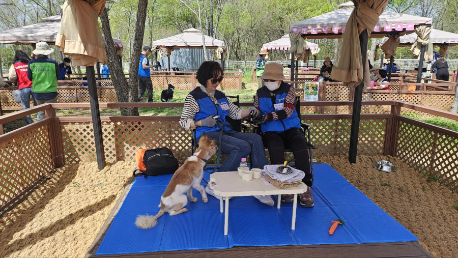 abd42da81185b2d195acb01696afec2d_1776665950_0896.jpg