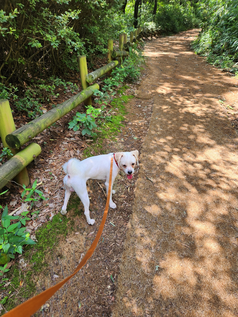 2d12ce97816381a8d504ec34513d8514_1786857345_8835.jpg
